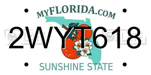 2WYT618 Florida License Plate