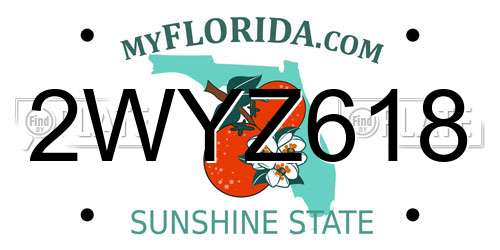 2WYZ618 Florida License Plate
