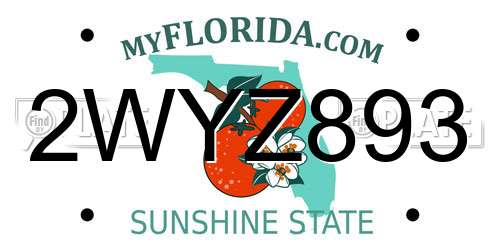 2WYZ893 Florida License Plate