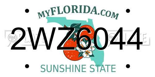 2WZ6044 Florida License Plate