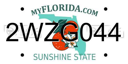 2WZG044 Florida License Plate