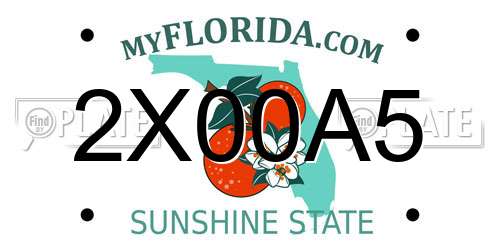 2X00A5 Florida License Plate