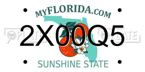 2X00Q5 Florida License Plate