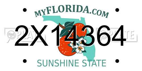 2X14364 Florida License Plate