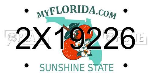 2X19226 Florida License Plate