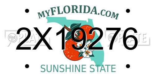 2X19276 Florida License Plate