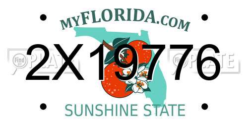 2X19776 Florida License Plate