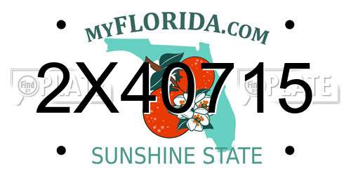 2X40715 Florida License Plate