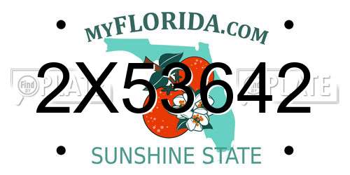 2X53642 Florida License Plate