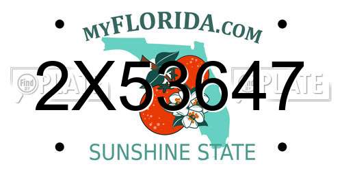 2X53647 Florida License Plate