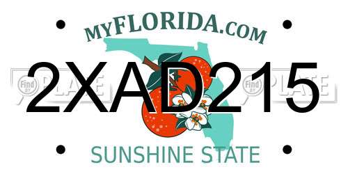 2XAD215 Florida License Plate