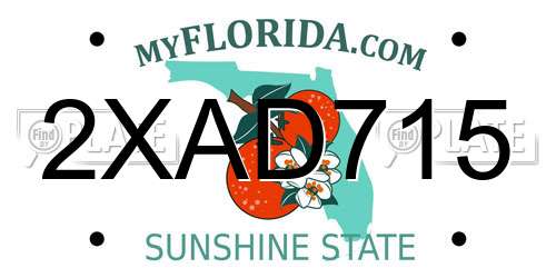 2XAD715 Florida License Plate