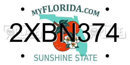 2XBN374 Florida License Plate