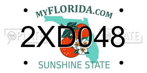 2XD048 Florida License Plate
