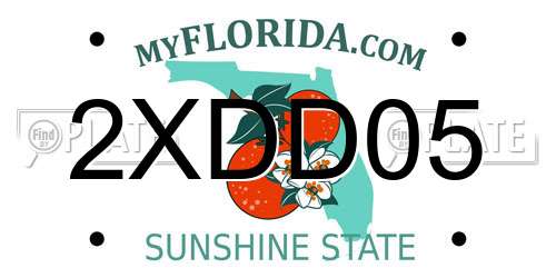 2XDD05 Florida License Plate