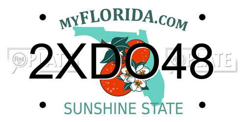 2XDO48 Florida License Plate