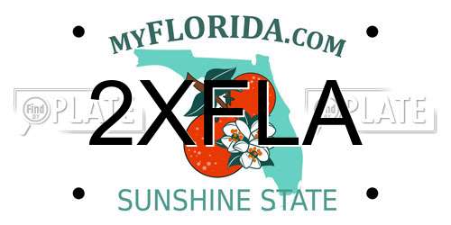 2XFLA Florida License Plate