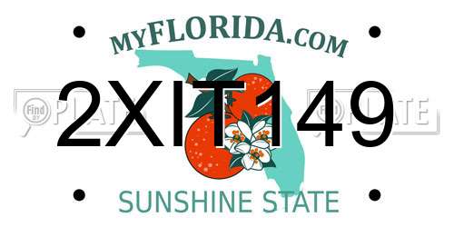 2XIT149 Florida License Plate