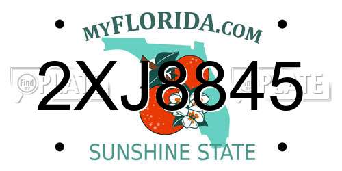2XJ8845 Florida License Plate