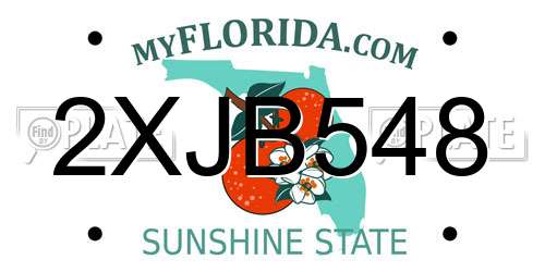 2XJB548 Florida License Plate
