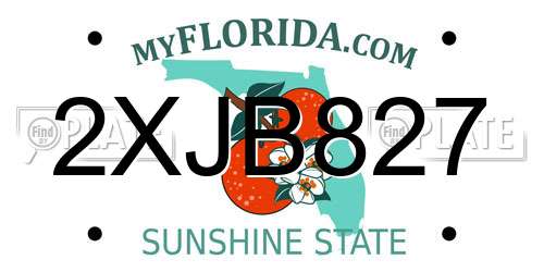 2XJB827 Florida License Plate