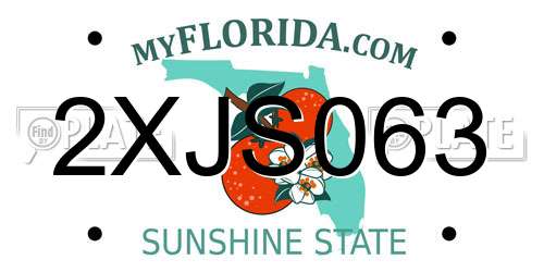 2XJS063 Florida License Plate