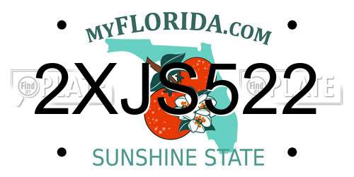 2XJS522 Florida License Plate