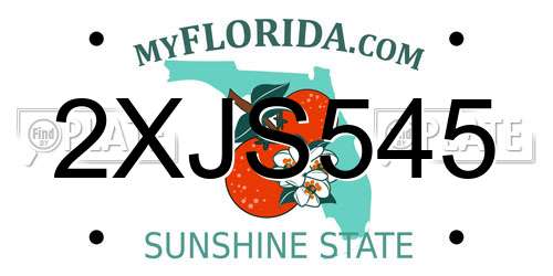 2XJS545 Florida License Plate