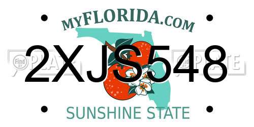 2XJS548 Florida License Plate