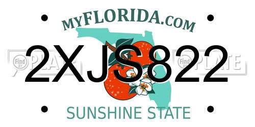2XJS822 Florida License Plate
