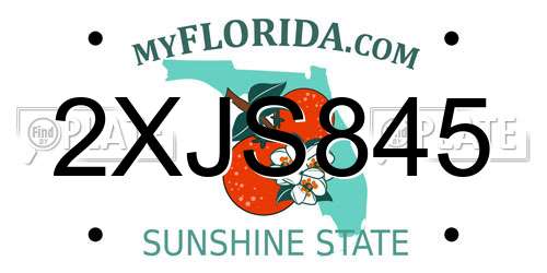 2XJS845 Florida License Plate