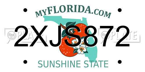 2XJS872 Florida License Plate