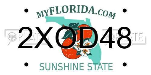 2XOD48 Florida License Plate