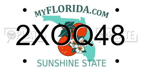 2XOQ48 Florida License Plate
