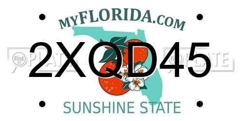 2XQD45 Florida License Plate