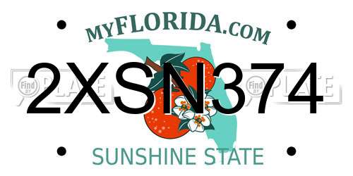 2XSN374 Florida License Plate