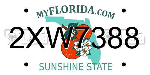 2XW7388 Florida License Plate