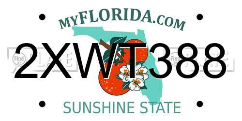 2XWT388 Florida License Plate
