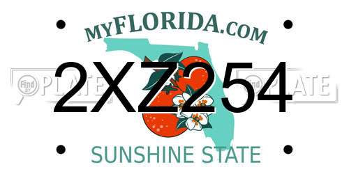 2XZ254 Florida License Plate