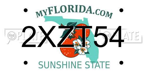 2XZT54 Florida License Plate