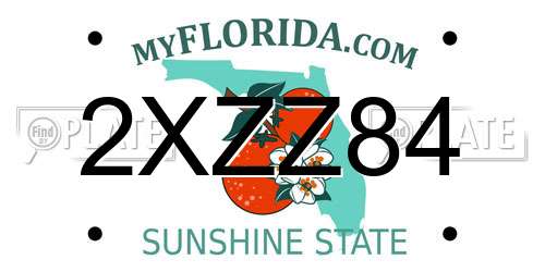 2XZZ84 Florida License Plate