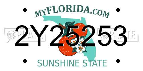 2Y25253 Florida License Plate