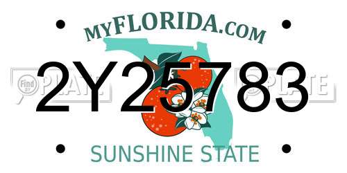 2Y25783 Florida License Plate