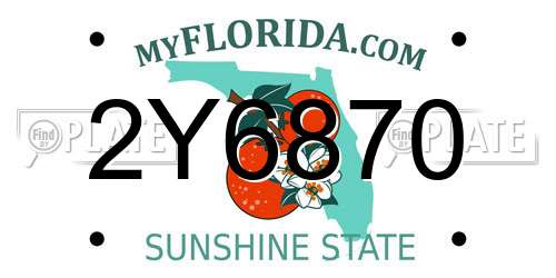 2Y6870 Florida License Plate