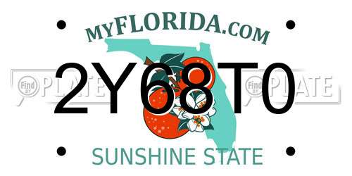 2Y68T0 Florida License Plate