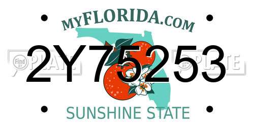 2Y75253 Florida License Plate