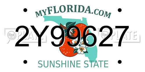 2Y99627 Florida License Plate
