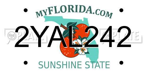 2YAL242 Florida License Plate