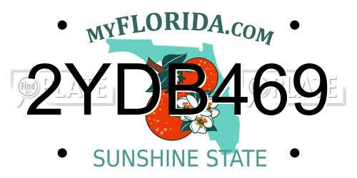 2YDB469 Florida License Plate