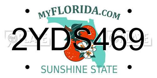 2YDS469 Florida License Plate